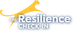 the resilience check in