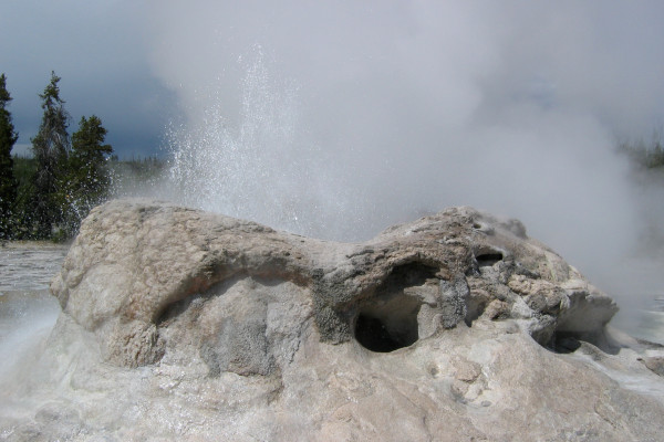 Bubbling life