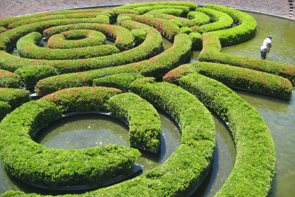 Maze Getty CA
