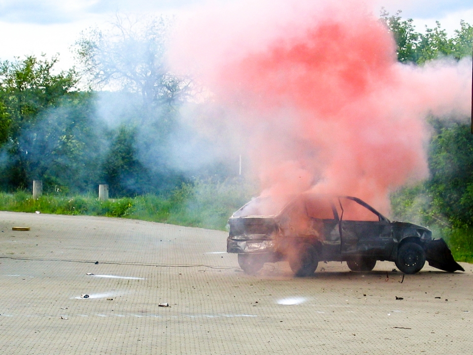 In a Disaster What Works to Mitigate Psychological Distress? The